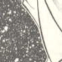 COS-017-T